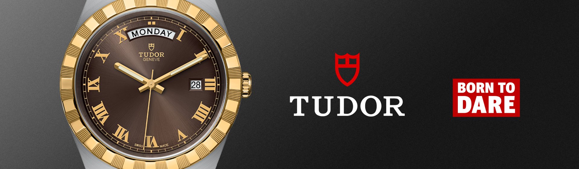 Tudor Royal Banner Desktop